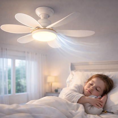 3-in-1 Fan